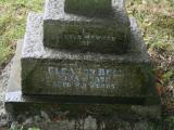 image of grave number 339505